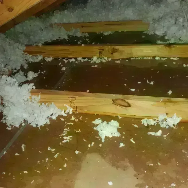 Attic Water Damage in Fiskdale, MA