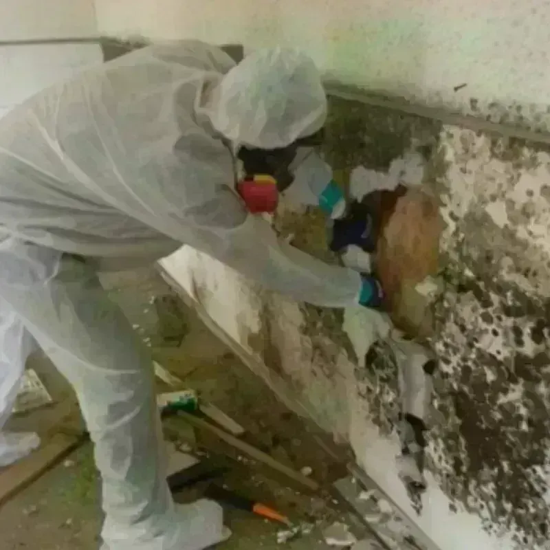 Mold Remediation and Removal in Fiskdale, MA